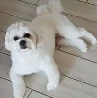 Agent profile picture